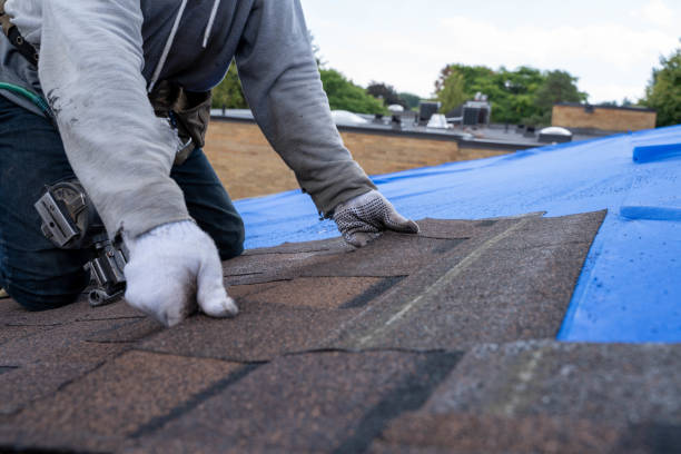 Best Flat Roof Repair Services  in Burlington, OH
